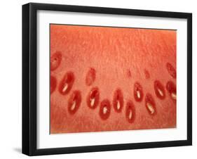 A Slice of Watermelon-Marc O^ Finley-Framed Photographic Print