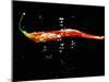 A Sliced Open Chilli Pepper in Water-null-Mounted Photographic Print