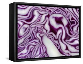A Sliced Red Cabbage-Rogge & Jankovic-Framed Stretched Canvas