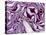 A Sliced Red Cabbage-Rogge & Jankovic-Stretched Canvas