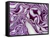 A Sliced Red Cabbage-Rogge & Jankovic-Framed Stretched Canvas