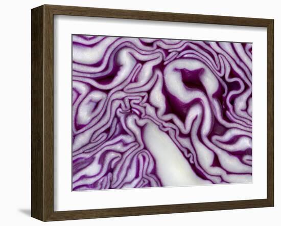 A Sliced Red Cabbage-Rogge & Jankovic-Framed Photographic Print