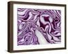 A Sliced Red Cabbage-Rogge & Jankovic-Framed Photographic Print