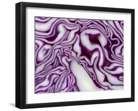 A Sliced Red Cabbage-Rogge & Jankovic-Framed Photographic Print