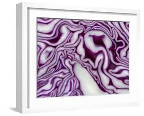 A Sliced Red Cabbage-Rogge & Jankovic-Framed Photographic Print