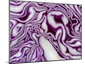 A Sliced Red Cabbage-Rogge & Jankovic-Mounted Photographic Print
