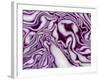 A Sliced Red Cabbage-Rogge & Jankovic-Framed Photographic Print