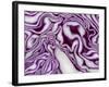 A Sliced Red Cabbage-Rogge & Jankovic-Framed Photographic Print