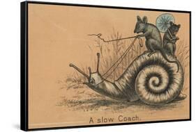 A Slow Coach Mice Riding A Snail-null-Framed Stretched Canvas