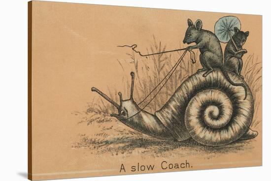 A Slow Coach Mice Riding A Snail-null-Stretched Canvas