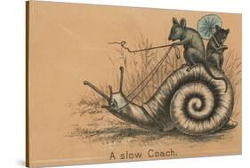 A Slow Coach Mice Riding A Snail-null-Stretched Canvas