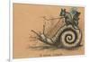 A Slow Coach Mice Riding A Snail-null-Framed Photographic Print