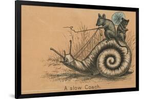 A Slow Coach Mice Riding A Snail-null-Framed Photographic Print