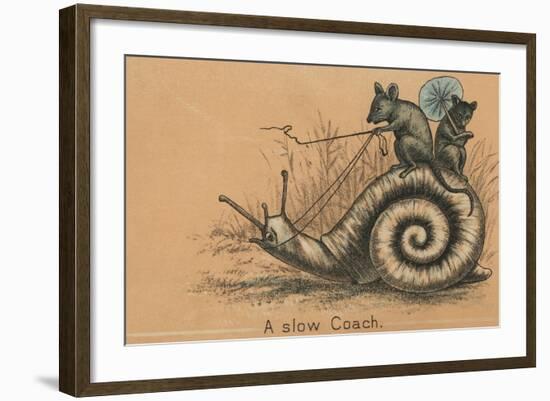 A Slow Coach Mice Riding A Snail-null-Framed Photographic Print