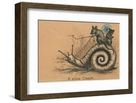 A Slow Coach Mice Riding A Snail-null-Framed Photographic Print