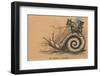 A Slow Coach Mice Riding A Snail-null-Framed Photographic Print
