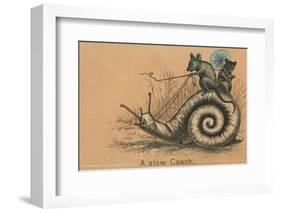 A Slow Coach Mice Riding A Snail-null-Framed Photographic Print