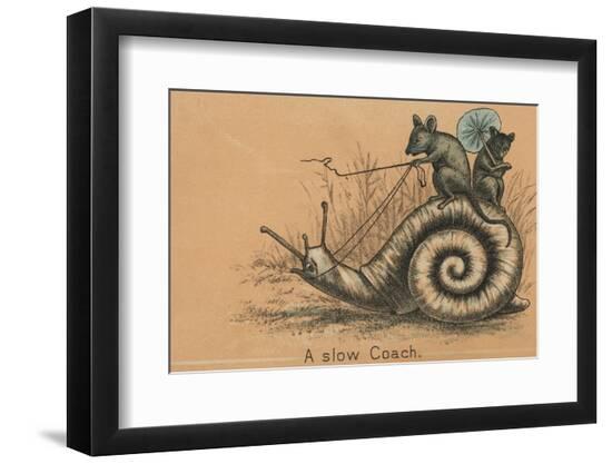 Premium Photographic Print, , large