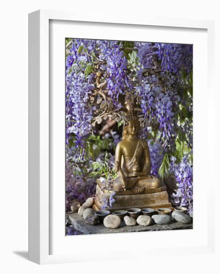 A Small Buddha Shrine Surrounded by Wisteria in Hotel Gangtey Palace, 100-Year-Old Building, Once a-Nigel Pavitt-Framed Photographic Print