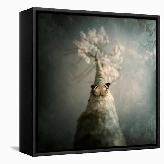 A Small Butterfly Sitting on a Tree with Overlaid Textures-Trigger Image-Framed Stretched Canvas