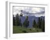 A Small Cablecar in Colorado-Michael Brown-Framed Photographic Print