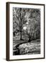 A Small Creek-Alan Hausenflock-Framed Photographic Print