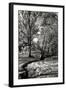 A Small Creek-Alan Hausenflock-Framed Photographic Print