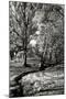 A Small Creek-Alan Hausenflock-Mounted Photographic Print