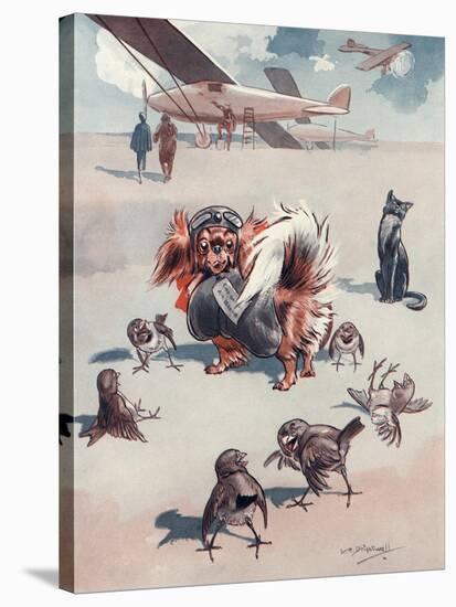 A Small Dog Dressed as a Pilot Ready for Take Off-L.r. Brightwell-Stretched Canvas