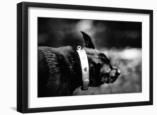 A Small Dog-Clive Nolan-Framed Photographic Print