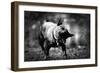 A Small Dog-Clive Nolan-Framed Photographic Print