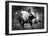 A Small Dog-Clive Nolan-Framed Photographic Print