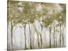 A Small Forest-Danna Harvey-Stretched Canvas