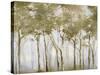 A Small Forest-Danna Harvey-Stretched Canvas