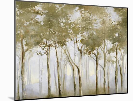 A Small Forest-Danna Harvey-Mounted Giclee Print