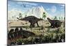 A Small Group of Stegosaurid Miragaia Dinosaurs-null-Mounted Premium Giclee Print