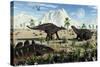 A Small Group of Stegosaurid Miragaia Dinosaurs-null-Stretched Canvas