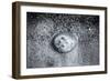 A Small Jellyfish in the Sand on the Beach-Henriette Lund Mackey-Framed Photographic Print