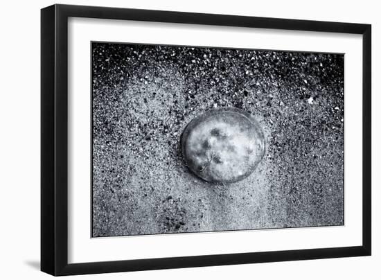 A Small Jellyfish in the Sand on the Beach-Henriette Lund Mackey-Framed Photographic Print