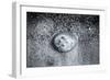 A Small Jellyfish in the Sand on the Beach-Henriette Lund Mackey-Framed Photographic Print