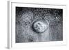 A Small Jellyfish in the Sand on the Beach-Henriette Lund Mackey-Framed Photographic Print