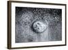 A Small Jellyfish in the Sand on the Beach-Henriette Lund Mackey-Framed Photographic Print