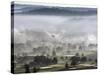 A Small Plane Descends Over Fog Covered Reeves Municipal Golf Course as It Lands at Lunken Airport-null-Stretched Canvas