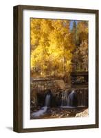 A Small Stream Cascades over a Rock Dam Amid Fall Aspens in the Sierra-John Alves-Framed Photographic Print