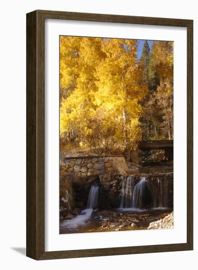 A Small Stream Cascades over a Rock Dam Amid Fall Aspens in the Sierra-John Alves-Framed Photographic Print