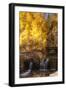 A Small Stream Cascades over a Rock Dam Amid Fall Aspens in the Sierra-John Alves-Framed Photographic Print