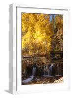 A Small Stream Cascades over a Rock Dam Amid Fall Aspens in the Sierra-John Alves-Framed Photographic Print