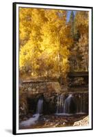 A Small Stream Cascades over a Rock Dam Amid Fall Aspens in the Sierra-John Alves-Framed Premium Photographic Print