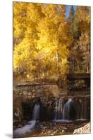 A Small Stream Cascades over a Rock Dam Amid Fall Aspens in the Sierra-John Alves-Mounted Premium Photographic Print
