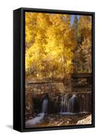 A Small Stream Cascades over a Rock Dam Amid Fall Aspens in the Sierra-John Alves-Framed Stretched Canvas